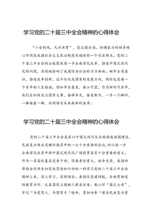 关于2024学习贯彻党的二十三中全会精神的心得体会四十四篇.docx