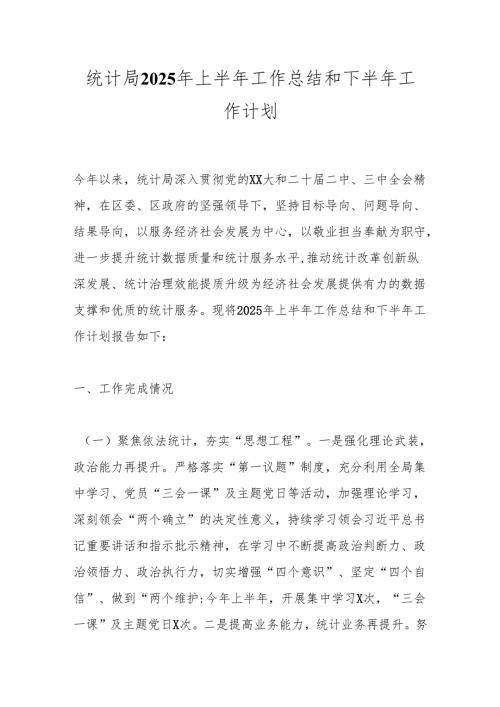 统计局2025年上半年工作总结和下半年工作计划.docx