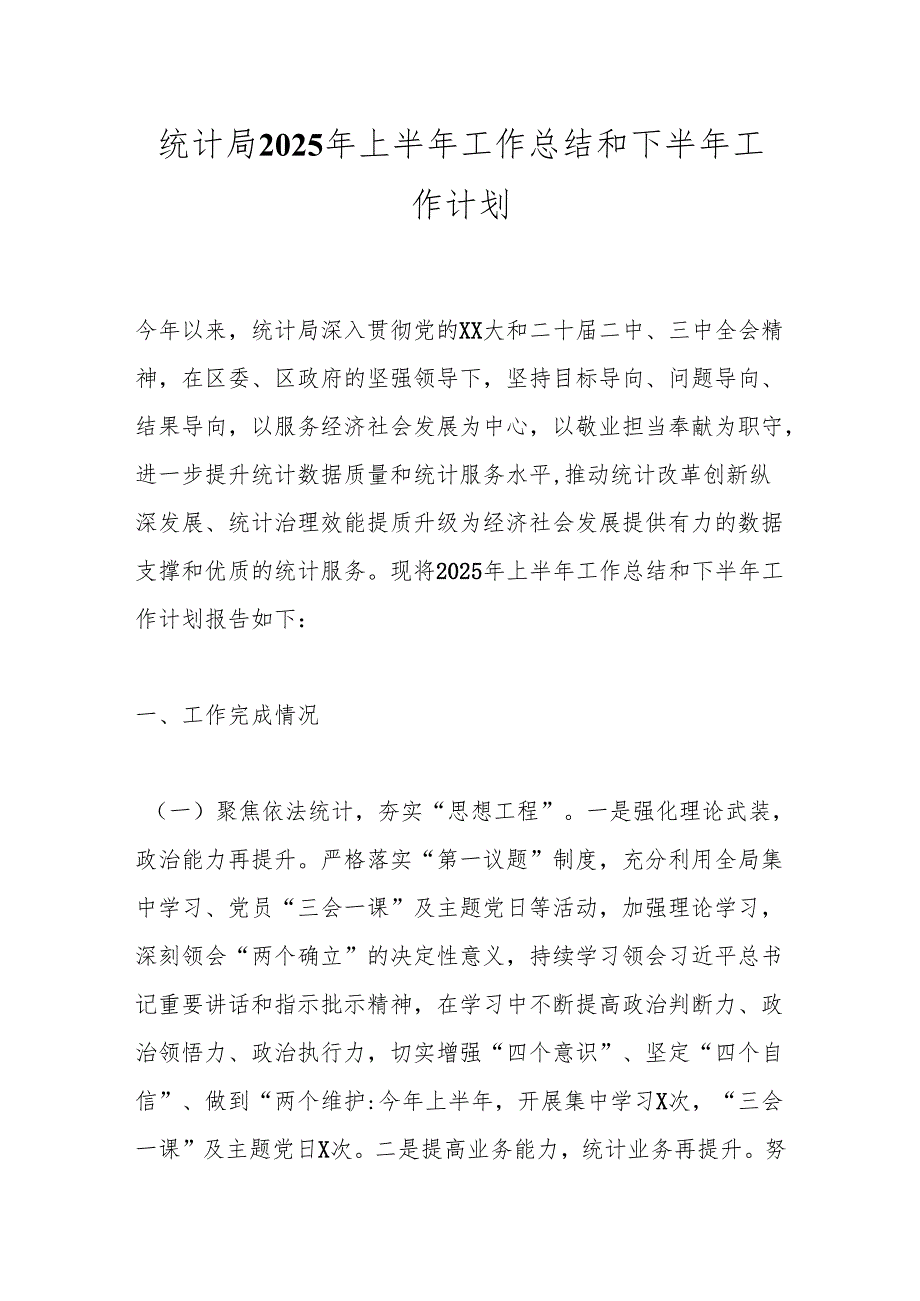统计局2025年上半年工作总结和下半年工作计划.docx_第1页