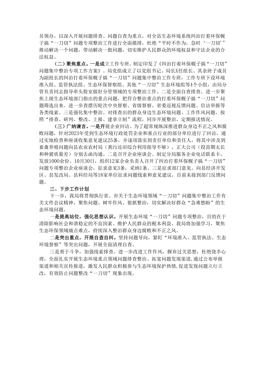 纠治打着环保幌子搞“一刀切”问题集中整治工作情况报告.docx_第3页