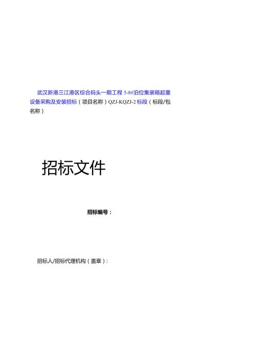 泊位集装箱起重设备采购及安装招标标段.docx