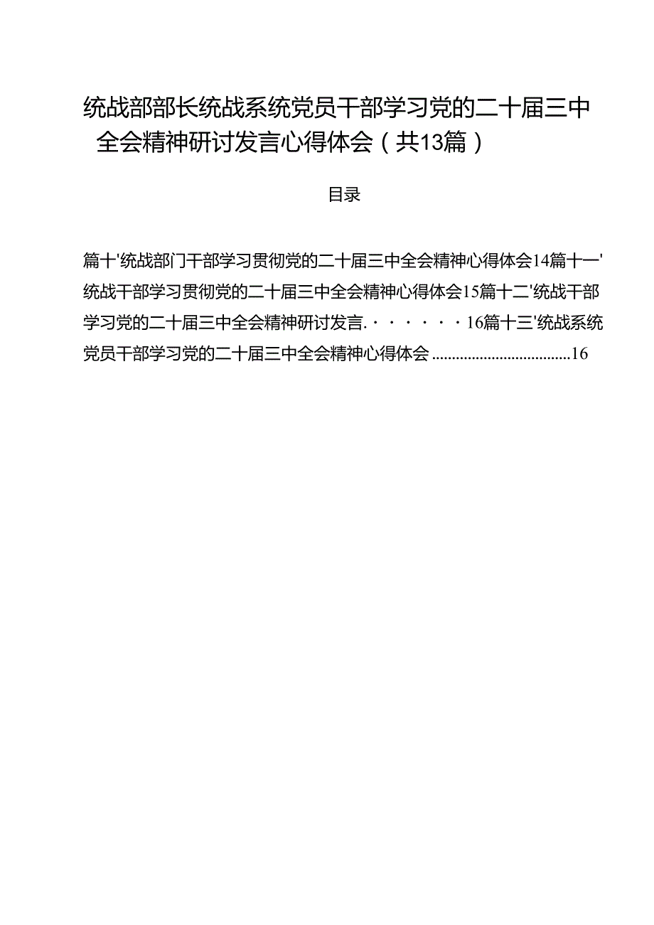 （13篇）统战部部长统战系统党员干部学习党的二十三中全会精神研讨发言心得体会范文.docx_第1页