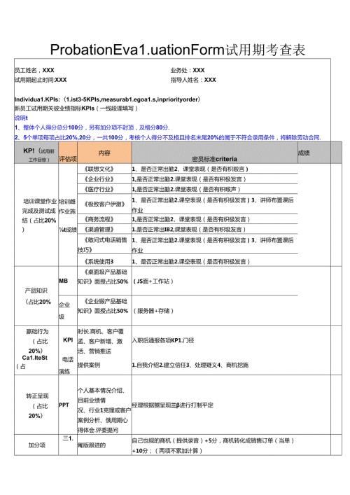 DCG项目试用期考查表.docx