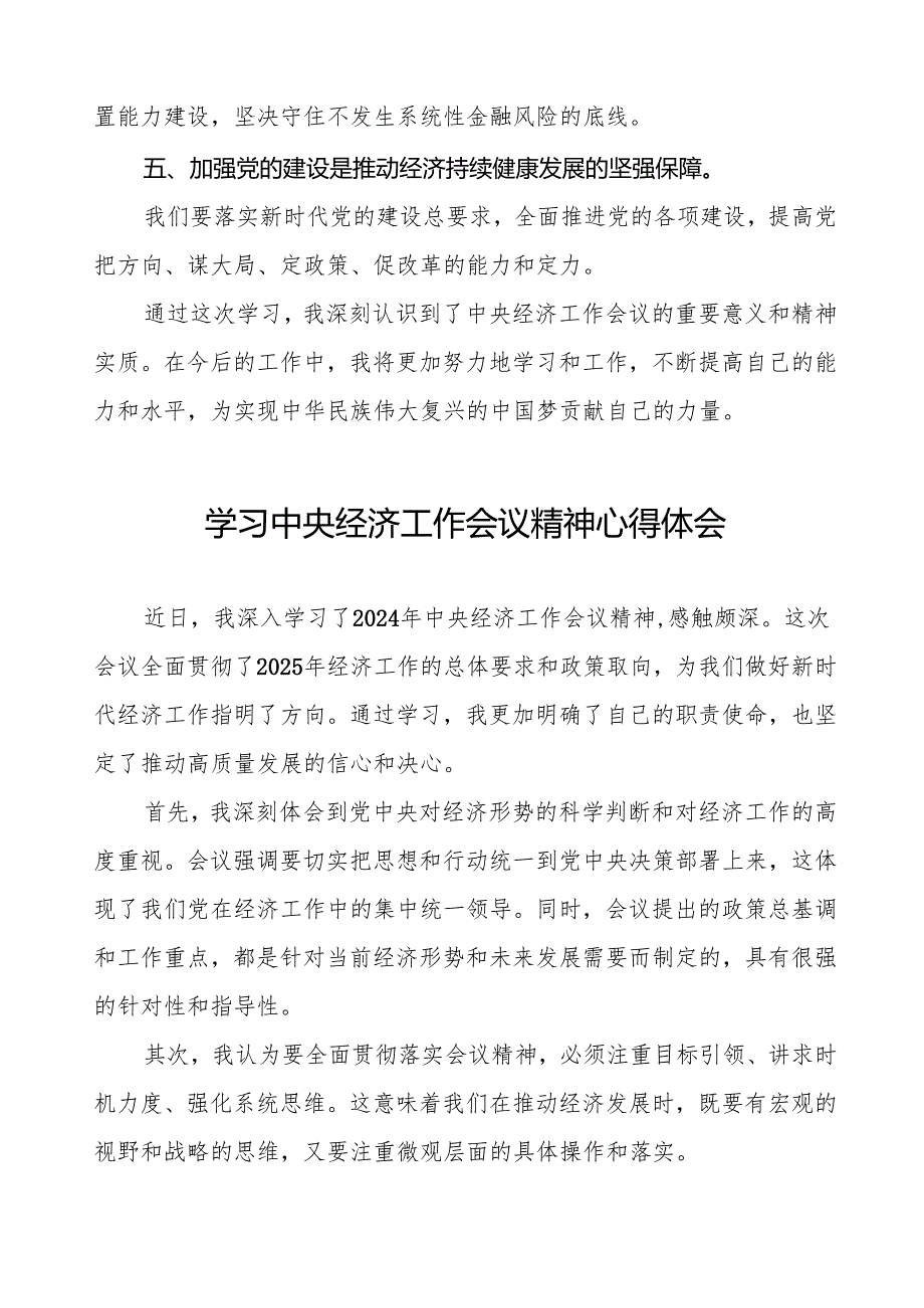 2024年学习贯彻中央经济工作会议精神心得体会十篇.docx_第2页