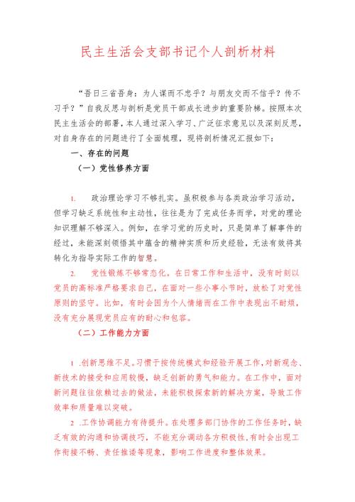 民主生活会支部书记个人剖析材料.docx