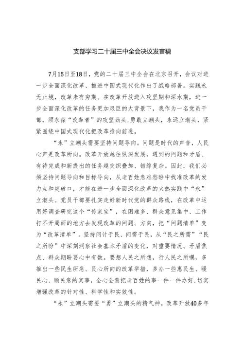 支部学习二十三中全会决议发言稿8篇（精选版）.docx