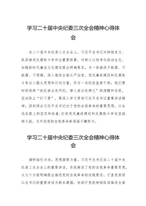 二十中央纪委三次全会精神心得体会发言稿十九篇.docx