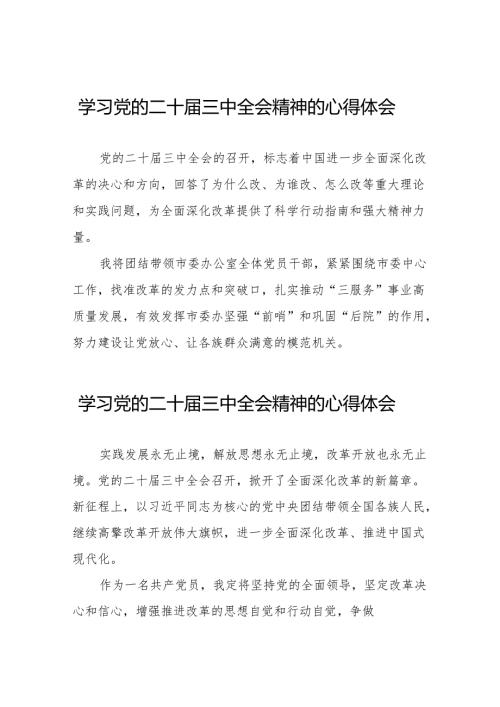 学习贯彻党的二十三中全会精神的心得体会简短交流发言材料合集32篇.docx