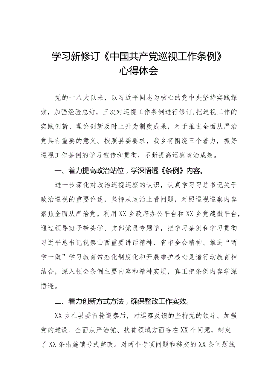乡干部学习贯彻2024版新修订《中国共产党巡视工作条例》学习体会交流发言14篇.docx_第1页