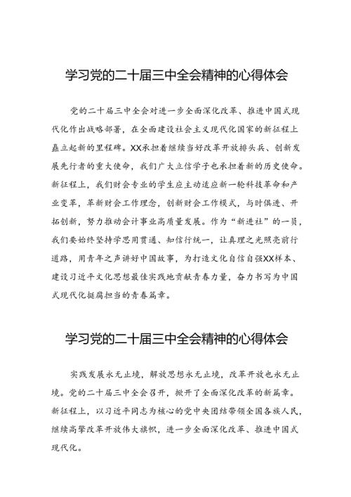 学习党的二十三中全会精神的心得感悟发言材料三十篇.docx