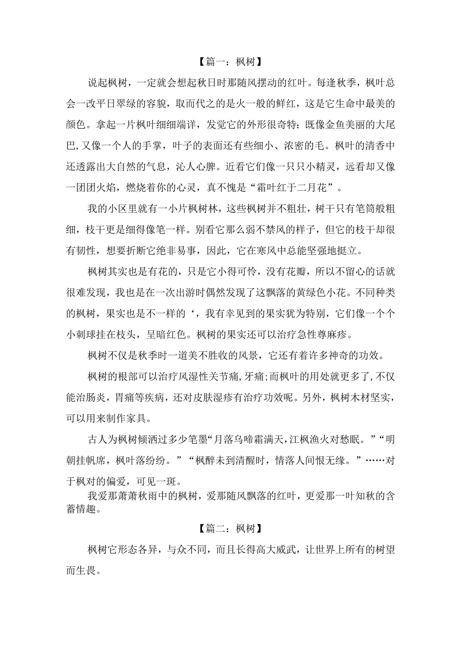 描写美丽的枫树作文600字（精选4篇）.docx_第1页