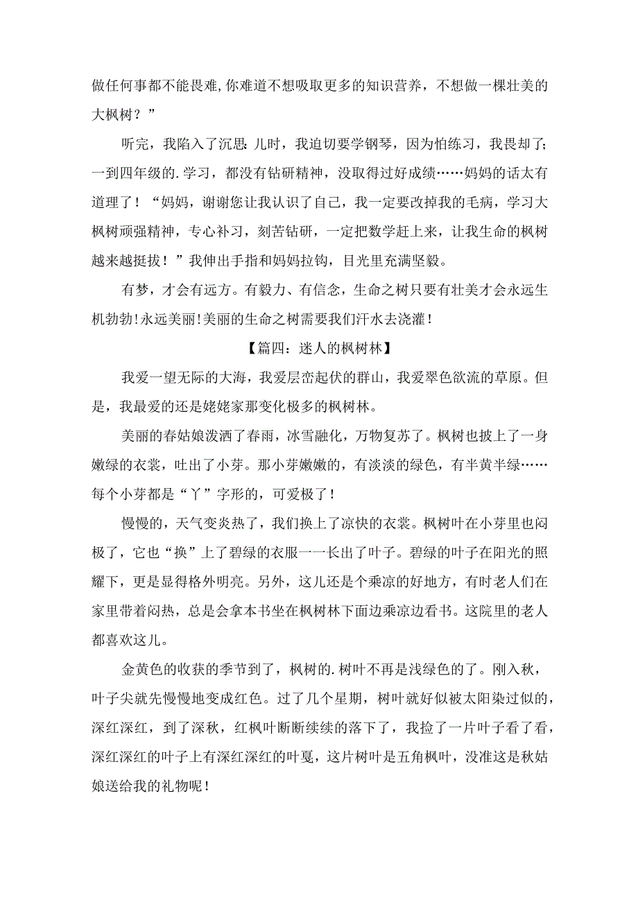 描写美丽的枫树作文600字（精选4篇）.docx_第3页