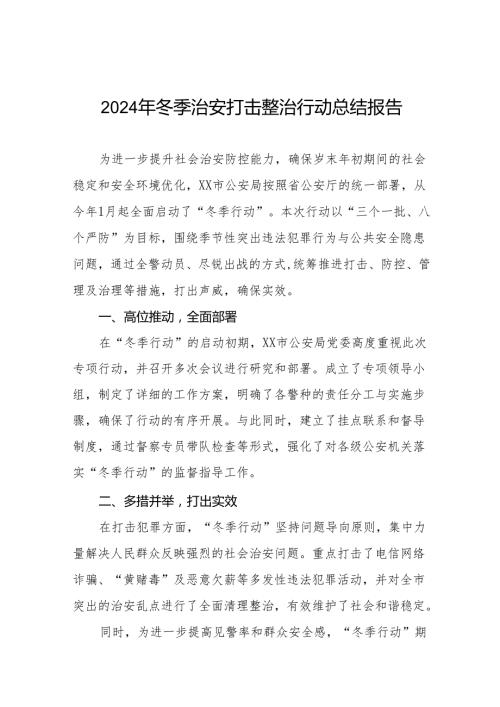公安局2024冬季治安打击整治行动工作总结11篇.docx