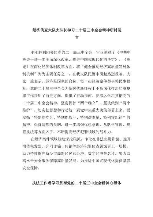 （11篇）经济侦查大队大队长学习二十三中全会精神研讨发言范文.docx