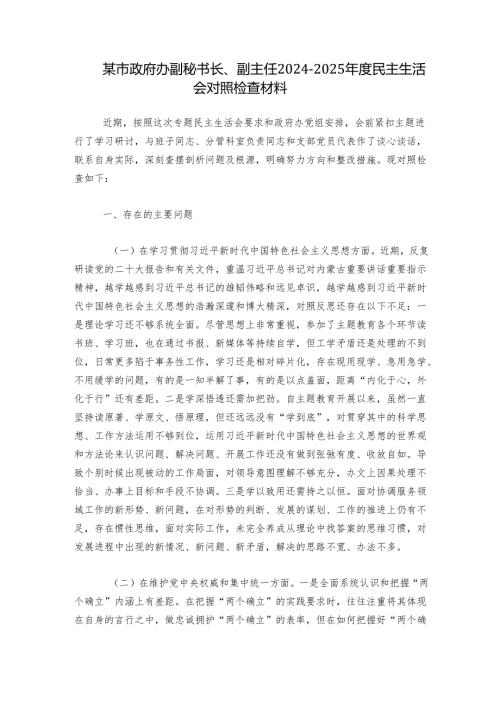 某市政府办副秘书长、副主任20242025民主生活会对照检查材料.docx
