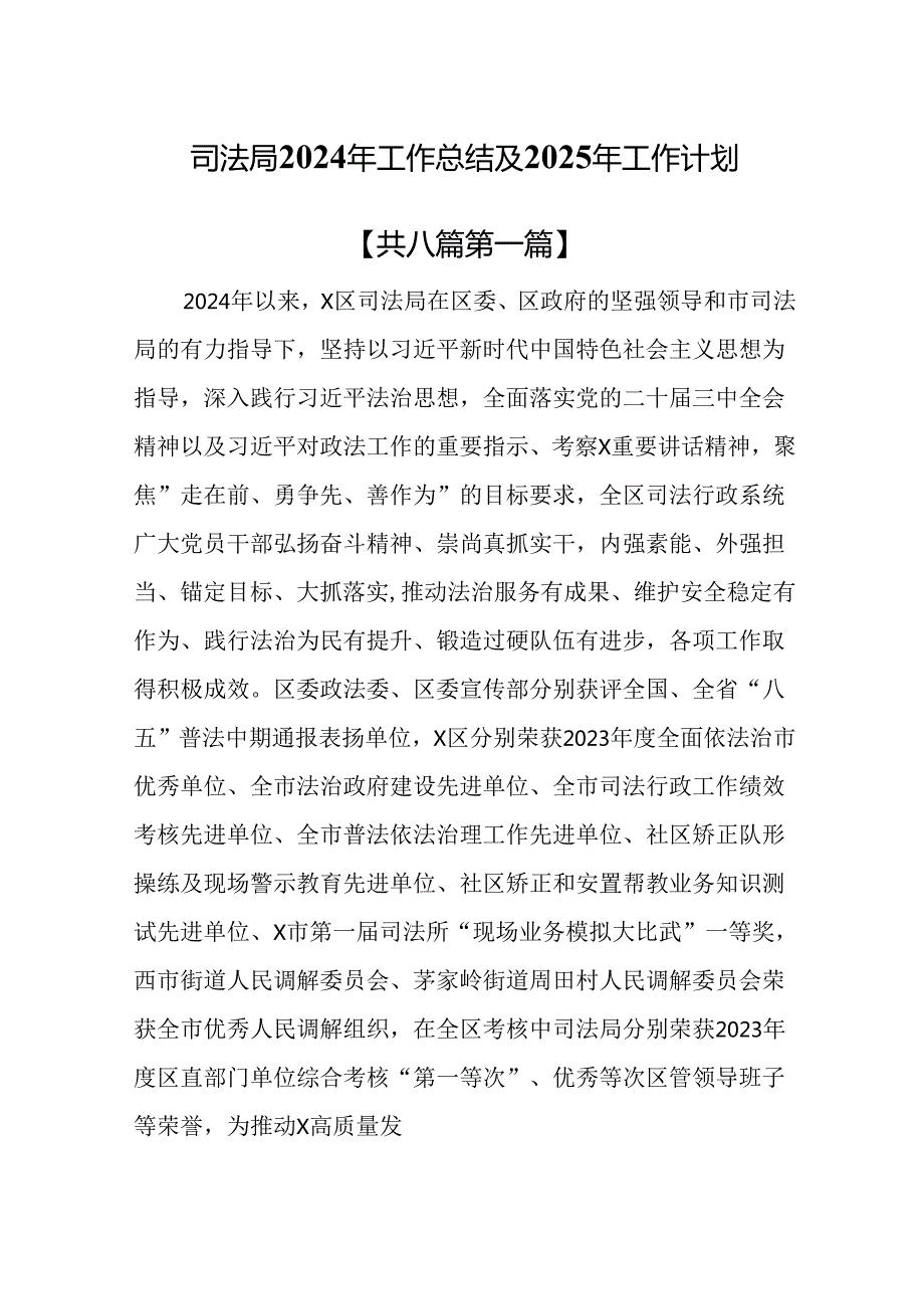 （8篇）司法局2024年工作总结及2025年工作计划.docx_第1页