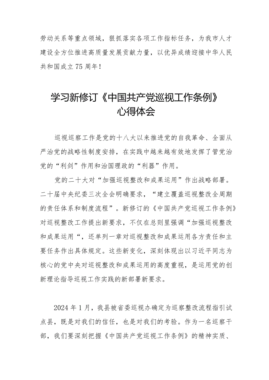 学习新修订2024版中国共产党巡视工作条例的心得体会优秀范文10篇.docx_第2页