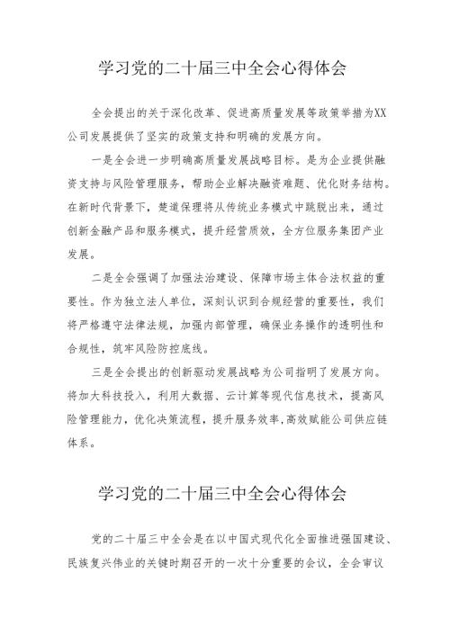 2024年学习学习党的二十三中全会个人心得感悟 （11份）.docx