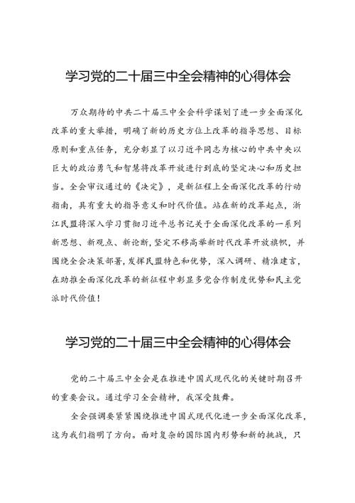关于二十三中全会精神学习体会模板三十五篇.docx