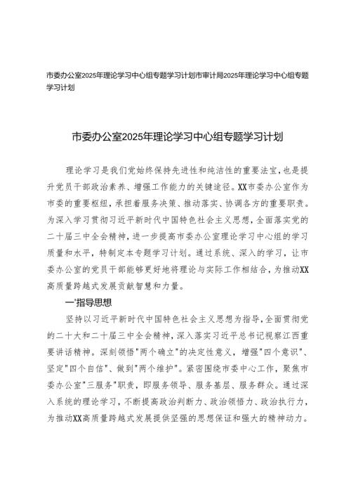 市审计局、市委办公室2025年理论学习中心组专题学习计划.docx