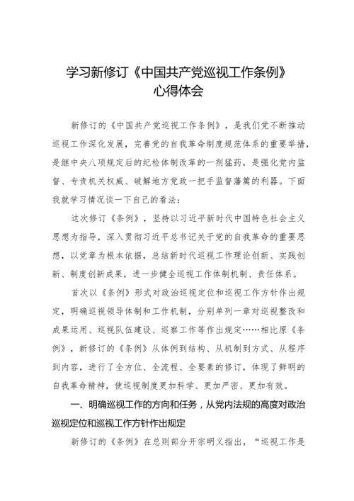 学习新修订中国共产党巡视工作条例2024版心得体会(五篇).docx