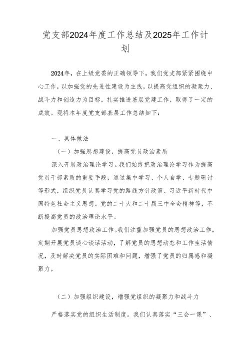 党支部2024工作总结及2025年工作计划.docx