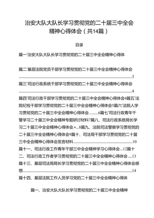 治安大队大队长学习贯彻党的二十三中全会精神心得体会14篇（精选）.docx