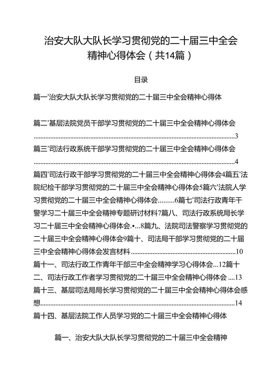 治安大队大队长学习贯彻党的二十三中全会精神心得体会14篇（精选）.docx_第1页