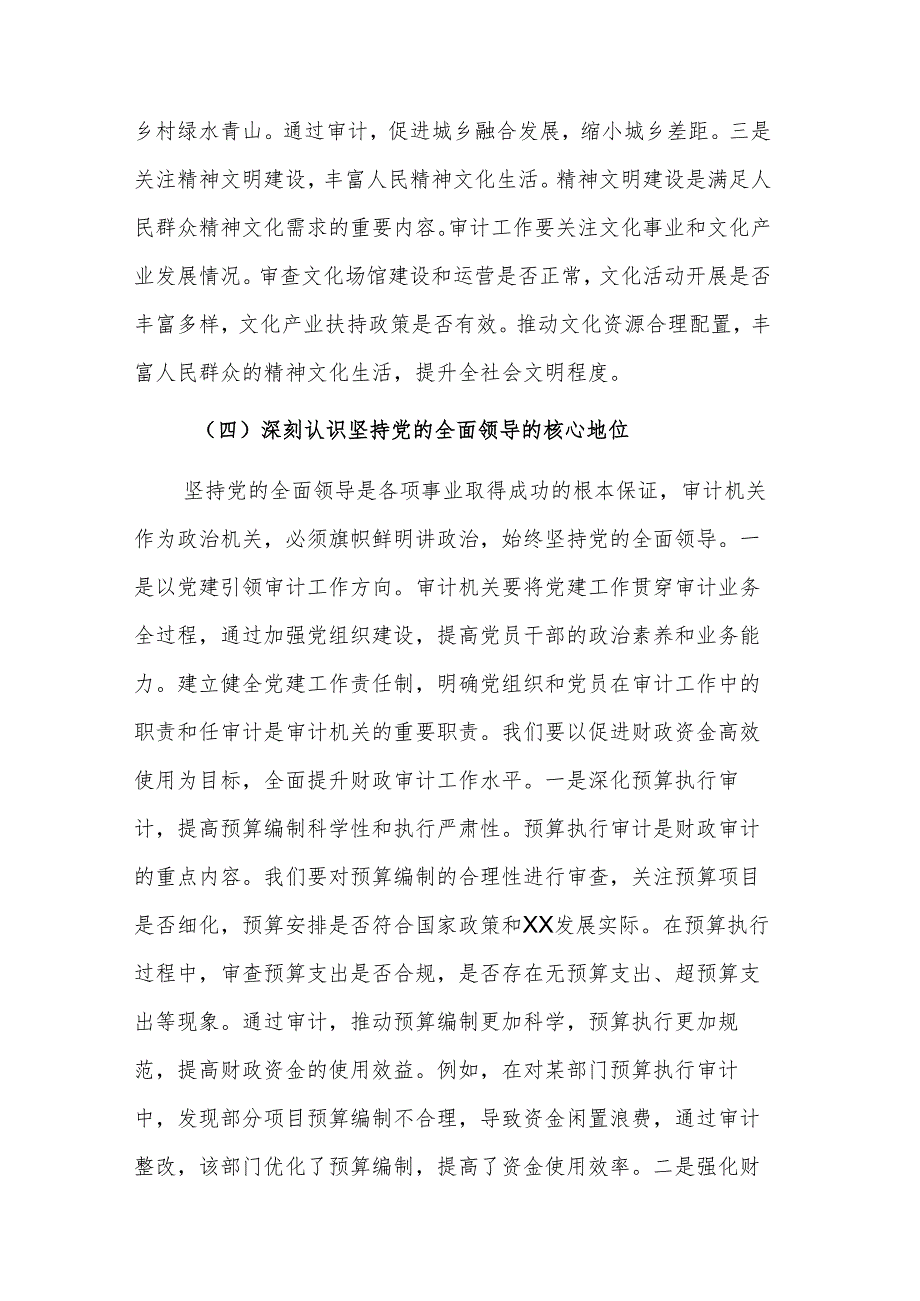 审计机关领导干部在理论学习中心组专题学习全国“两会”精神研讨交流会上的发言范文.docx_第3页