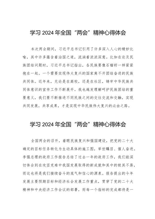 2024年“两会”精神学习心得体会33篇.docx