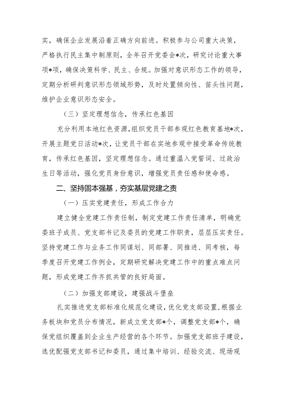 公司党委书记2024年述职述廉报告.docx_第3页