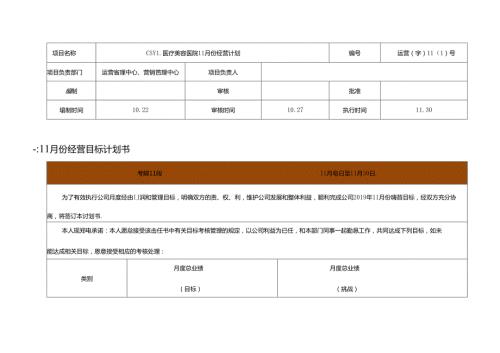 医美整形医院11月运营计划方案.docx