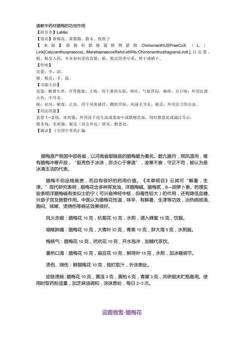 中药材腊梅的功效作用.docx