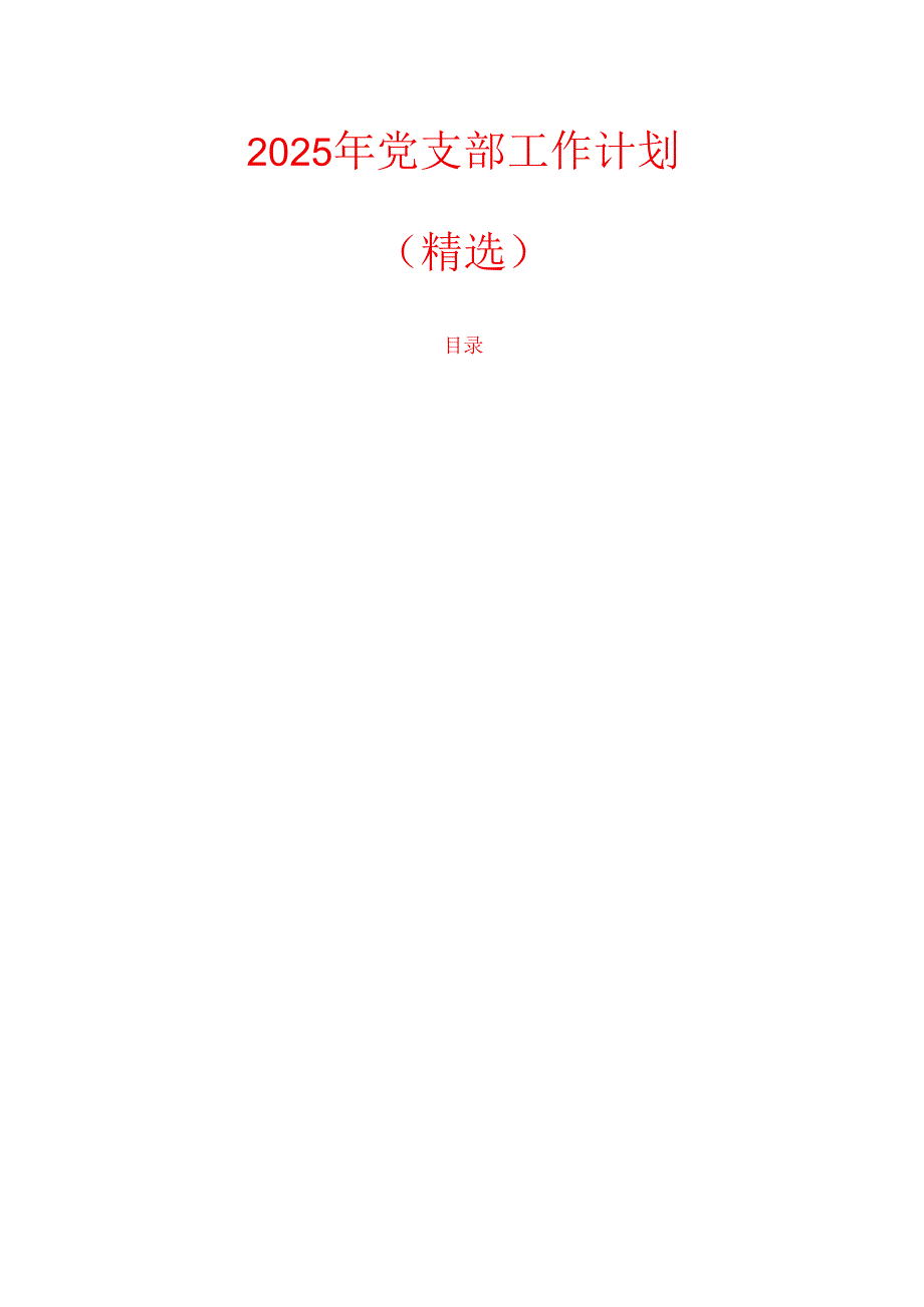 2025 党支部工作计划（精编）.docx_第1页
