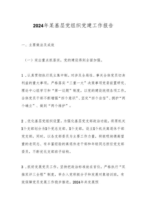 2024年某基层党组织党建工作报告.docx