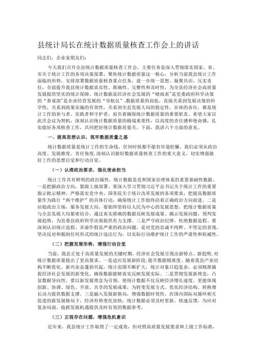 县统计局长在统计数据质量核查工作会上的讲话.docx
