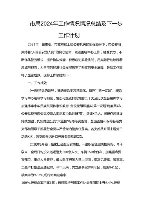 市局2024年工作情况情况总结及下一步工作计划(1).docx