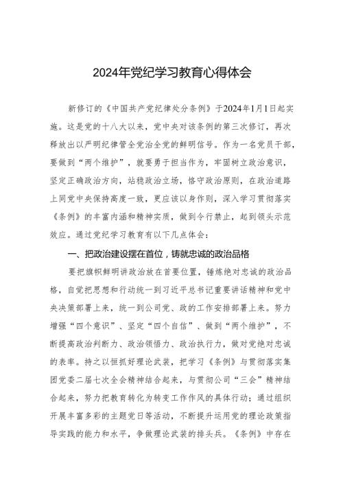 2024党纪学习教育心得感悟十三篇.docx