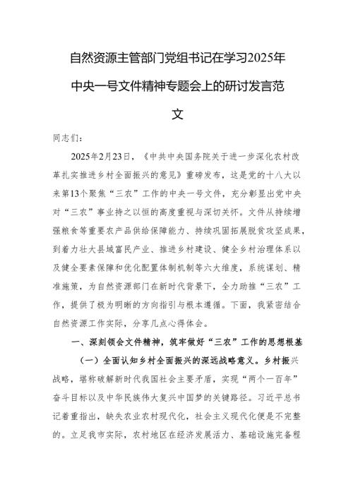 自然资源主管部门党组书记在学习2025年中央一号文件精神专题会上的研讨发言范文.docx