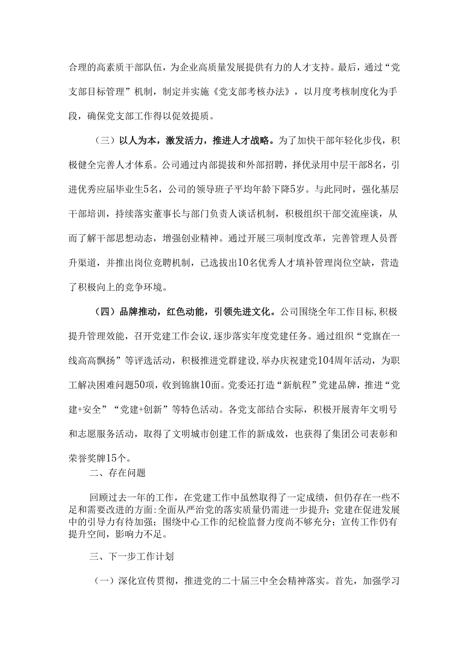 两篇稿：2024年国企党建工作总结及2025年下一步工作计划.docx_第2页