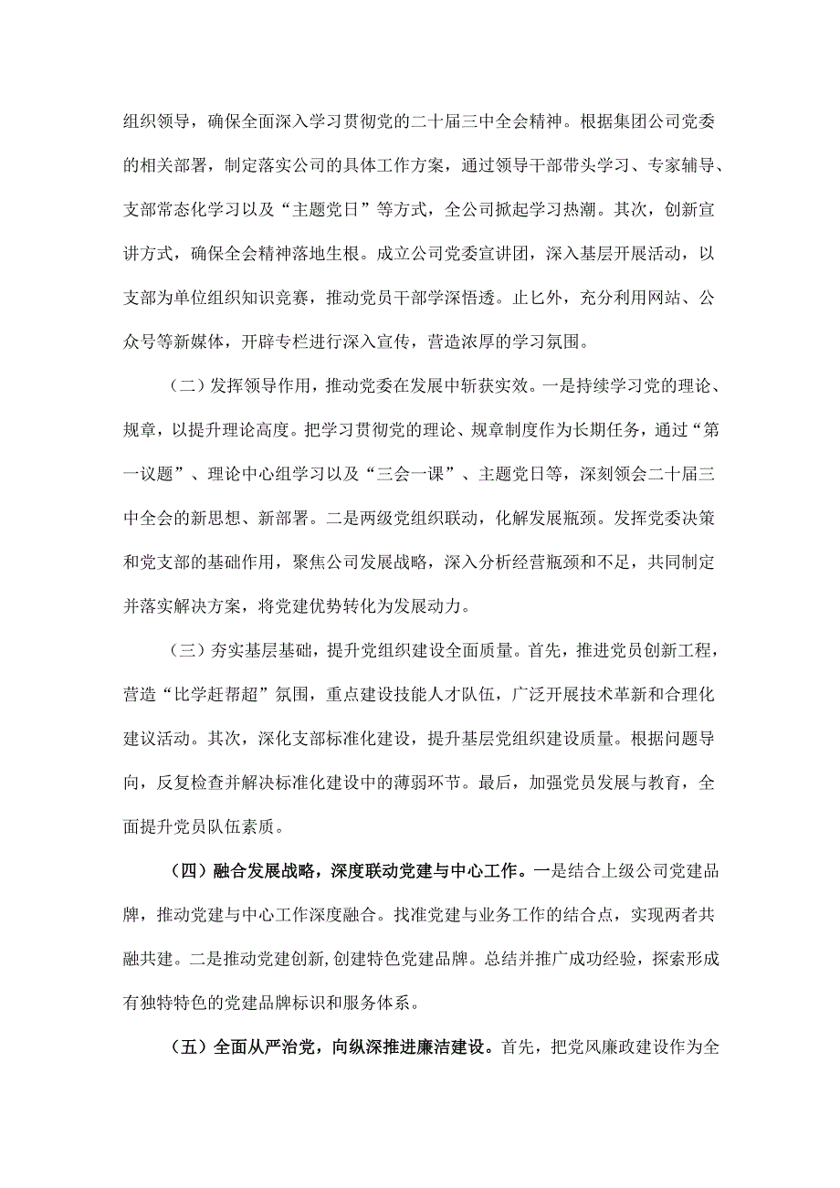 两篇稿：2024年国企党建工作总结及2025年下一步工作计划.docx_第3页