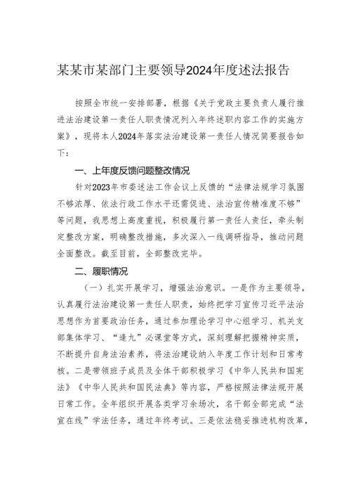 某某市某部门主要领导2024述法报告.docx