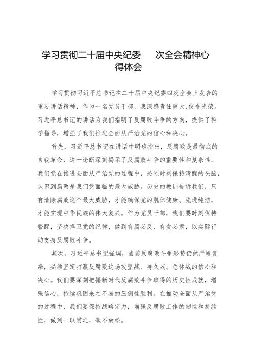 中央纪委二十四次全会重要精神心得体会12篇.docx