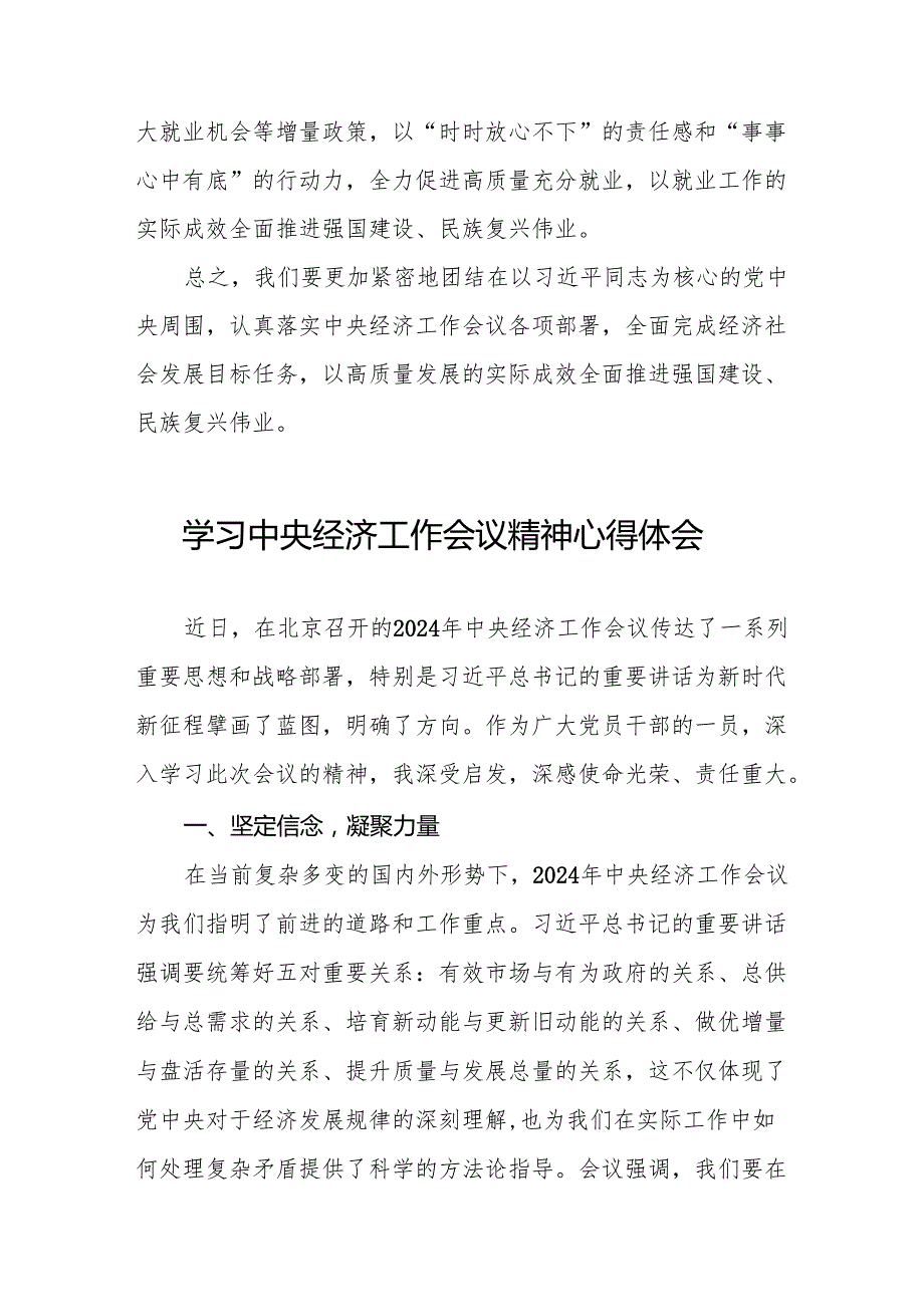 (最新版)2024年中央经济工作会议精神心得体会6篇.docx_第3页