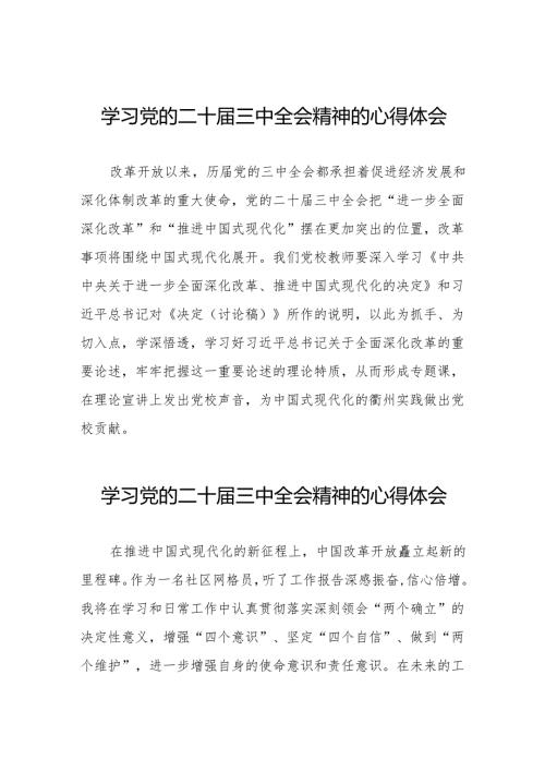 二十三中全会精神学习体会发言材料最新36篇.docx