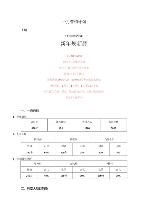 医美整形医院1月营销计划方案.docx