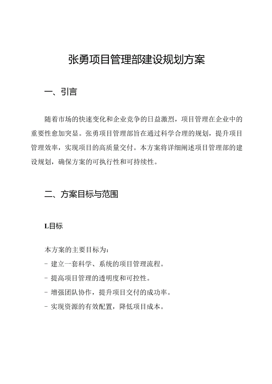 张勇 项目管理部建设规划方案.docx_第1页