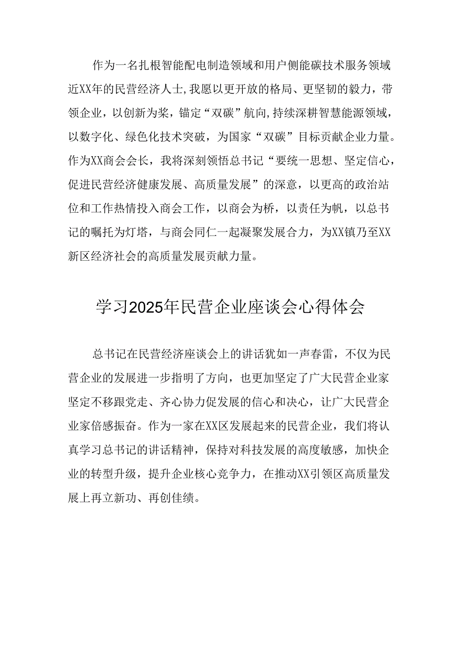2025年私营企业学习《民营企业座谈会》个人心得体会 （汇编10份）.docx_第2页