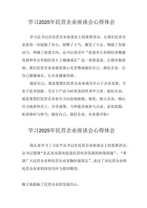 2025年私营企业学习《民营企业座谈会》个人心得体会 （汇编10份）.docx