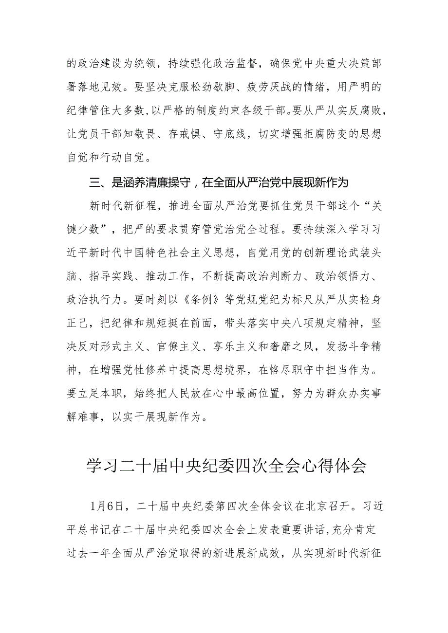 纪检干部学习二十中央纪委四次全会个人心得体会 合计17份.docx_第2页